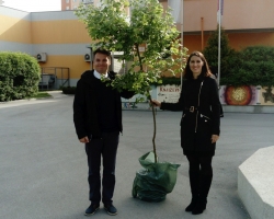 Osnovni šoli Brežice sta drevo predala Niko Kumar in mag. Jadranka Novoselc, direktorja partnerski